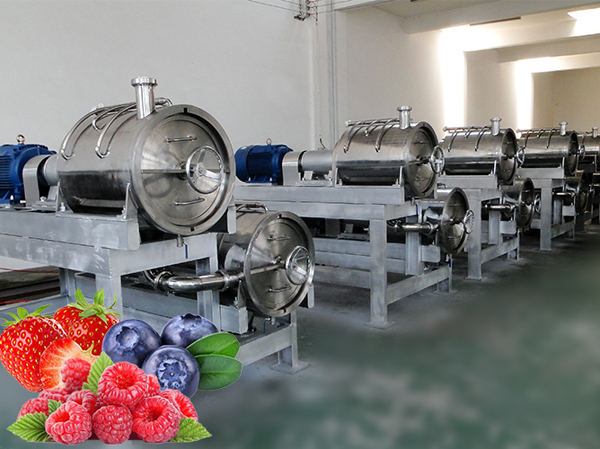 Fully automatic blueberry jam production line manufacturer