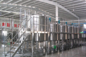 Fully automatic dragon fruit wine production line manufacturer