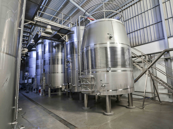 Fully automatic grape wine production line manufacturer