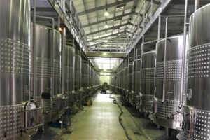 Fully automatic kiwi wine production line manufacturer