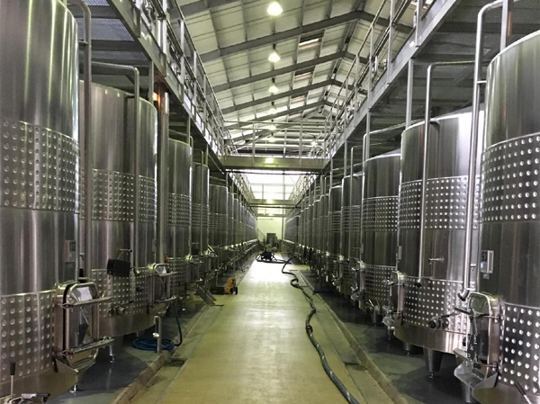 Fully automatic kiwi wine production line manufacturer