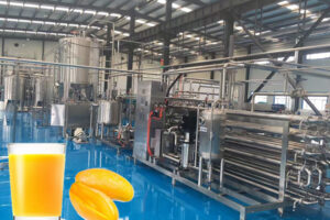 Fully automatic mango sauce production line manufacturer