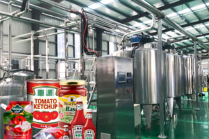 Fully automatic tomato ketchup production line manufacturer