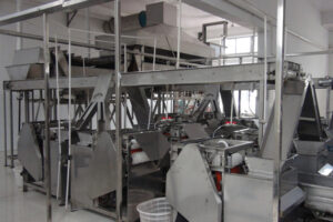 Manufacturer of high capacity hot water almond soaking machine