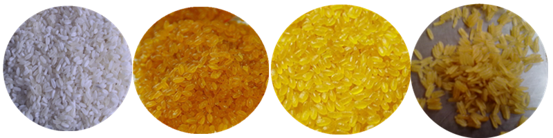 Image of Artificial Rice Sample