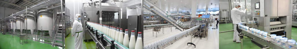 In the production process of pasteurized milk