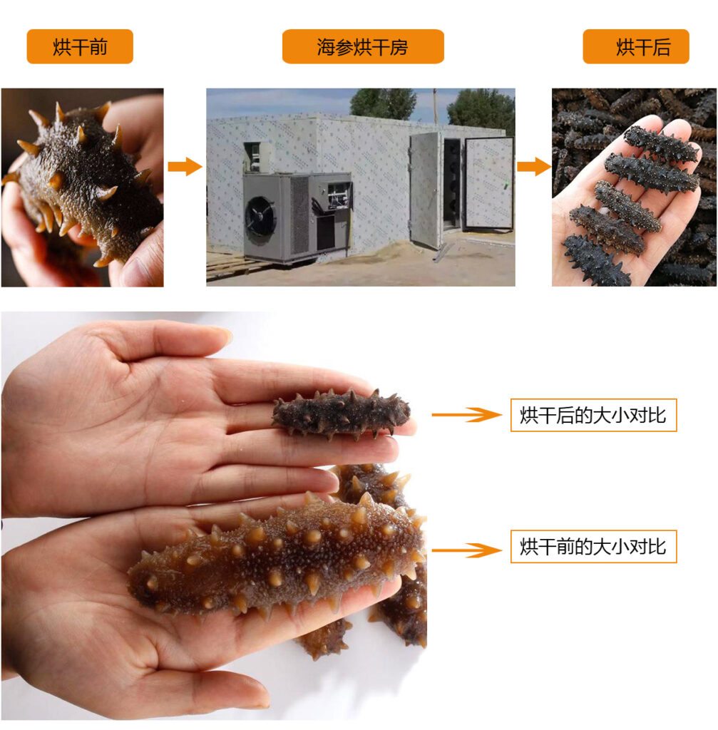 Introduction to Sea Cucumber Drying Room: