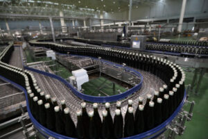 Kiwi fruit wine production plant manufacturer