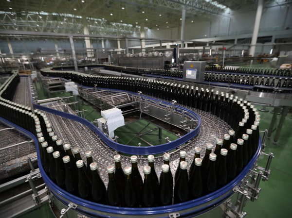 Kiwi fruit wine production plant manufacturer