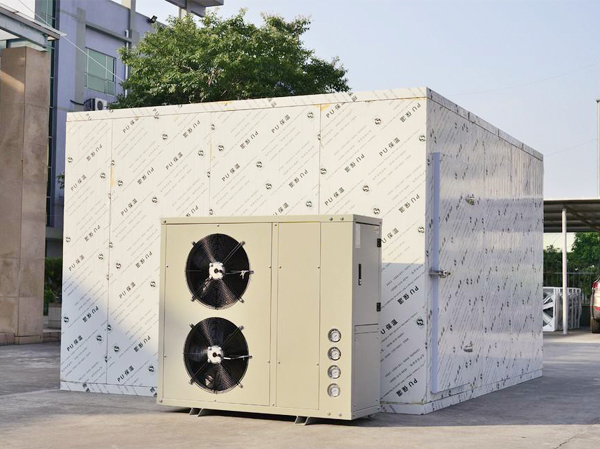 Manufacturer mushroom food drying room