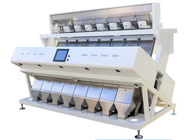 Manufacturer of Watermelon seed color selection machine