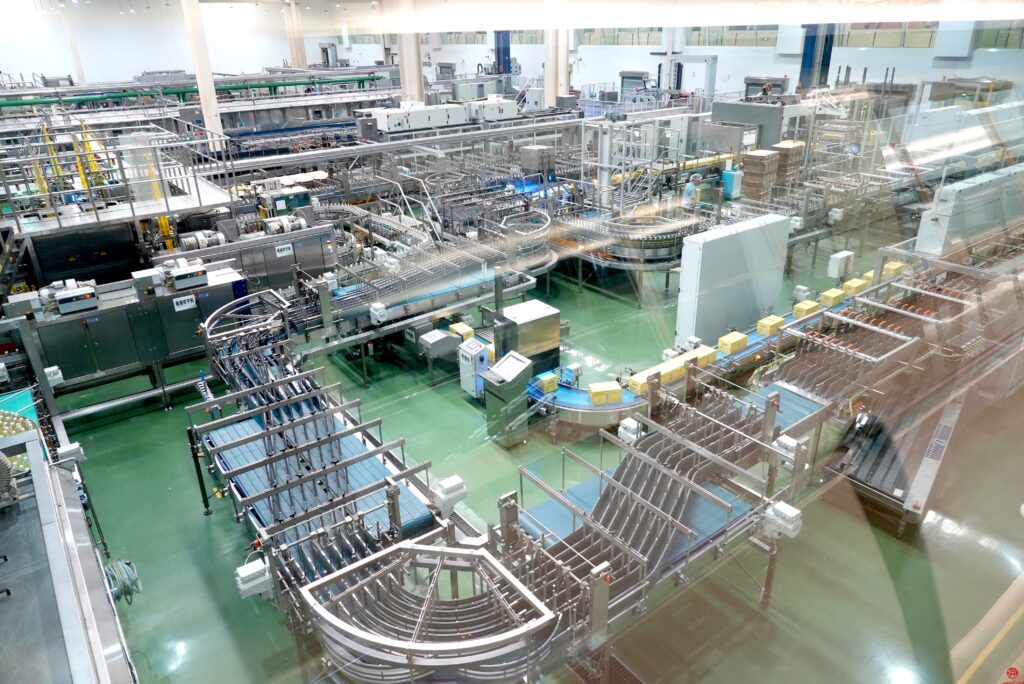 Apricot, Plum&Peach Processing Line End Products And Package