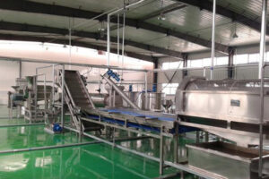 Manufacturer of automatic banana plantain flour production line