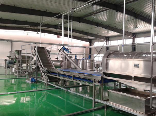 Manufacturer of automatic banana plantain flour production line