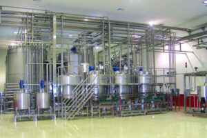 Manufacturer of automatic blueberry juice production line