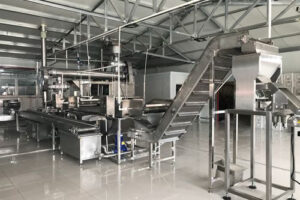 Manufacturer of automatic chestnut production line