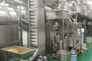 Manufacturer of automatic coated peanut production line