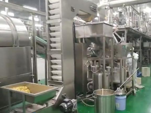 Manufacturer of automatic coated peanut production line