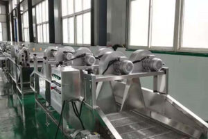 Manufacturer of automatic fruit and vegetable drying machine