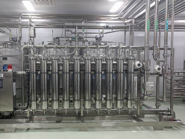 Manufacturer of automatic kiwi juice production line