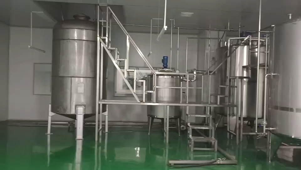 Manufacturer of automatic papaya juice production line