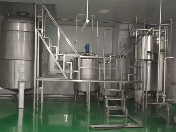 Manufacturer of automatic papaya juice production plant