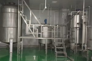 Manufacturer of automatic papaya juice production line