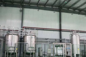 Manufacturer of automatic pineapple juice production line