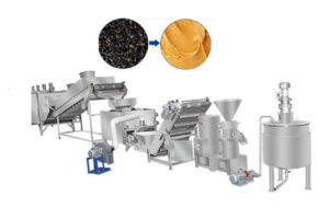 Manufacturer of automatic sesame tahini making machine