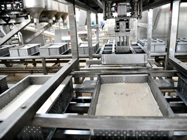 Manufacturer of automatic tofu production line