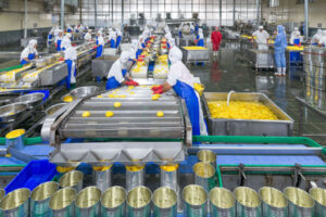 Manufacturer of automatic canned drink filling production line