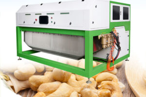 Manufacturer of cashew color sorting machine