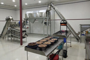 Manufacturer of cashew nut shelling baking seasoning production line