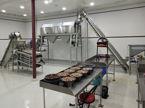 Manufacturer of cashew nut shelling baking seasoning production line