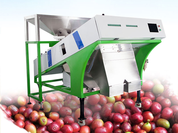 Manufacturer of coffee bean color sorting machine