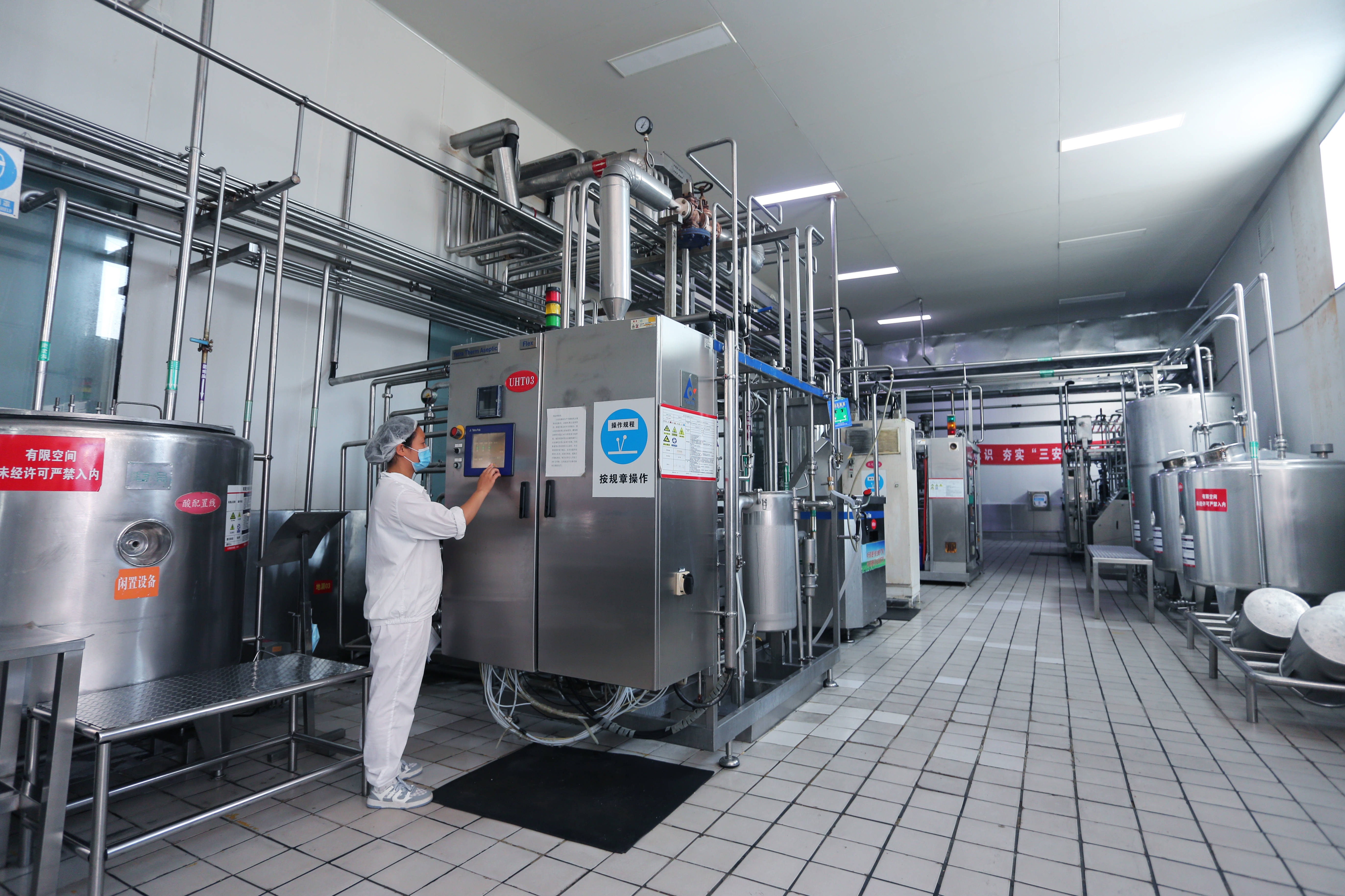 Manufacturer of fully automated cheese production line