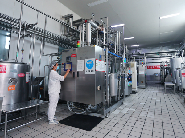 Manufacturer of fully automated cheese production plant