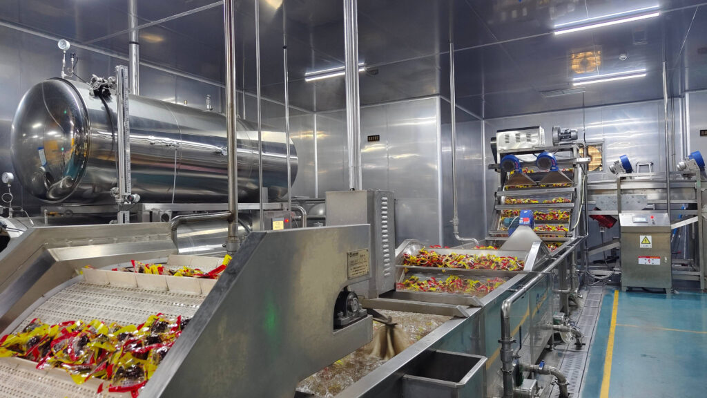 Manufacturer of fully automatic candied fruit sweetmeat production line