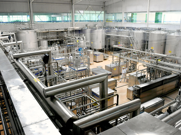 Manufacturer of fully automatic yogurt production line