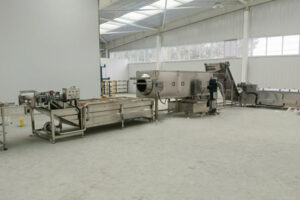 Manufacturer of green walnut cleaning and peeling machine