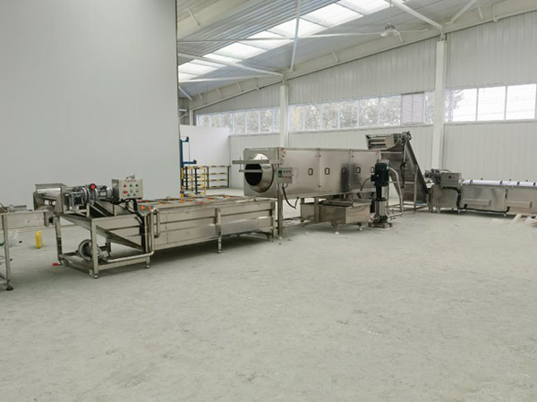 Manufacturer of green walnut cleaning and peeling machine