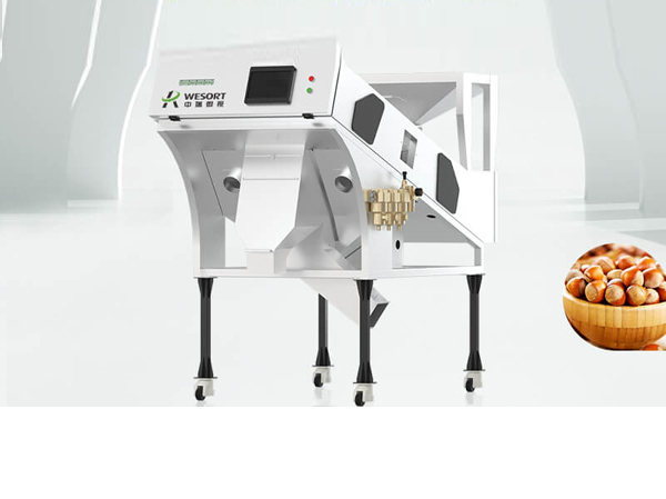 Manufacturer of hazelnut color sorting machine