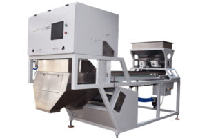 Manufacturer of macadamia nut color sorting machine