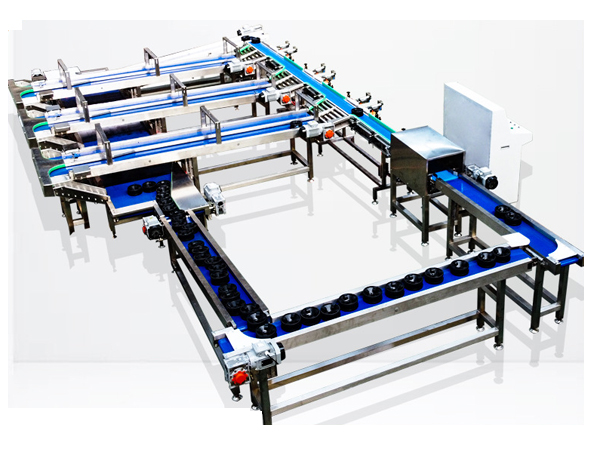 Manufacturer of macadamia nut screening and conveying production line