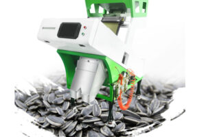 Manufacturer of melon seed color sorting machine