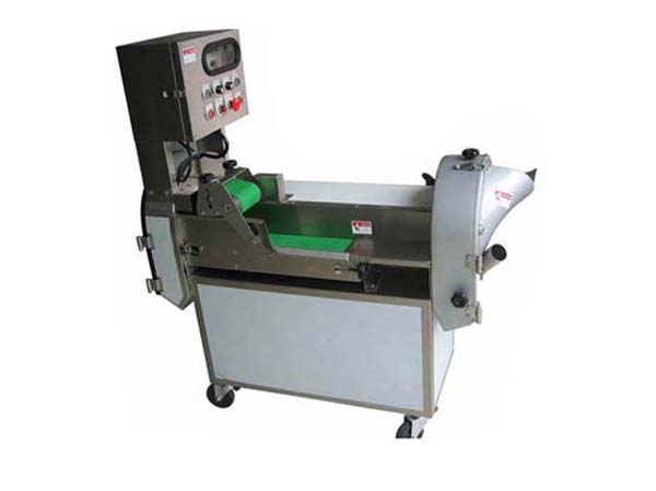 Manufacturer of multi functional vegetable slicer