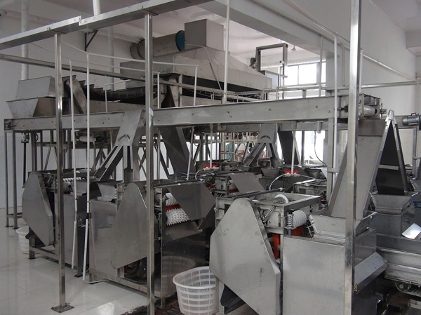 Manufacturer of peanut soaking and peeling production line