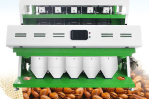 Manufacturer of pine seed color sorting machine