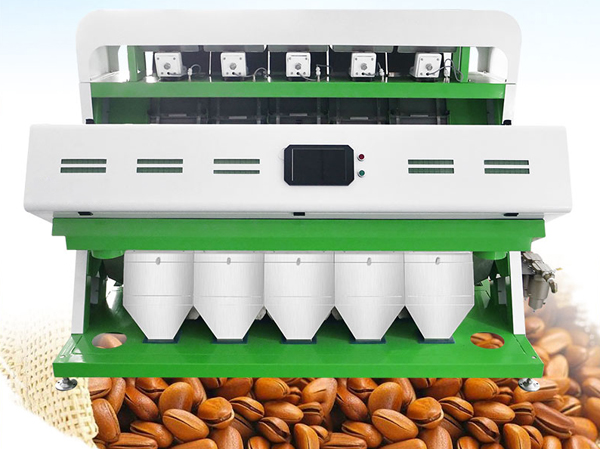 Manufacturer of pine seed color sorting machine