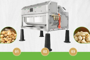 Manufacturer of pistachio nuts color sorting machine